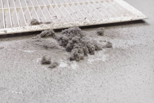 Best HVAC Air Duct Cleaning  in Eustace, TX