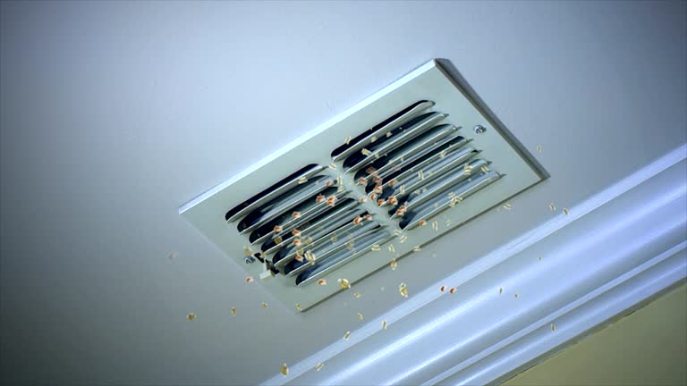 Best Air Duct Cleaning Near Me  in Eustace, TX