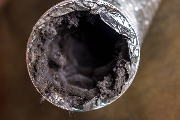 Best Residential Air Duct Cleaning  in Eustace, TX